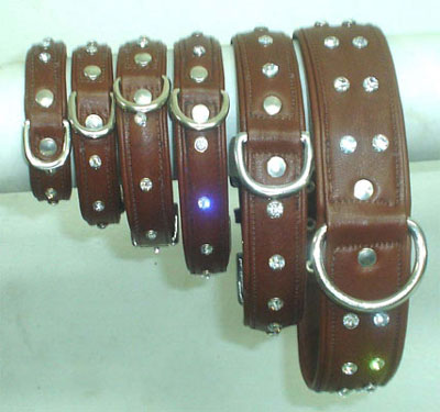 Dog collars