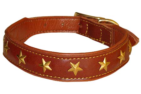 Dog Collar